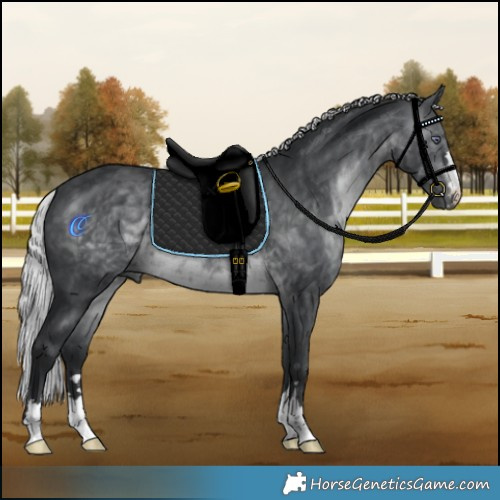 Horse Color:Silver Brown Chinchilla Mushroom