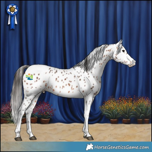 Horse Color:Bay Tobiano Skewed LP Spotted 