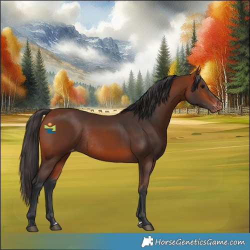 Horse Color:Bay Skewed LP Spotted Rabicano 