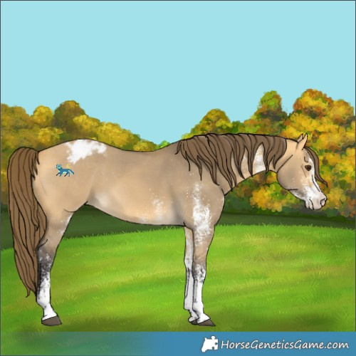 Horse Color:Unknown 