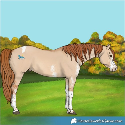 Horse Color:Unknown 