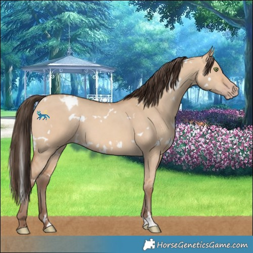 Horse Color:White Spotted Amber Champagne Dun 