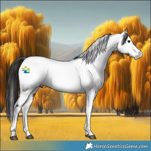 Horse Color:Brown Sabino Splash Tobiano Fewspot 
