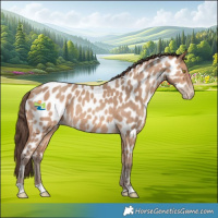 Horse Color:Amber Champagne Near Leopard 