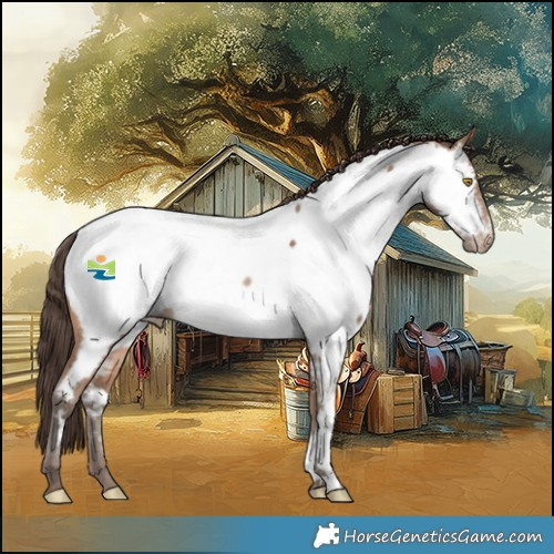 Horse Color:Sable Champagne Near Fewspot