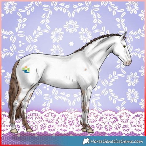 Horse Color:Sable Champagne Dun Near Fewspot