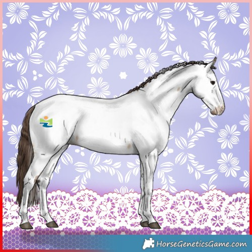 Horse Color:Bay Dun Sabino Fewspot