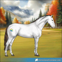 Horse Color:Bay Dun Sabino Fewspot 