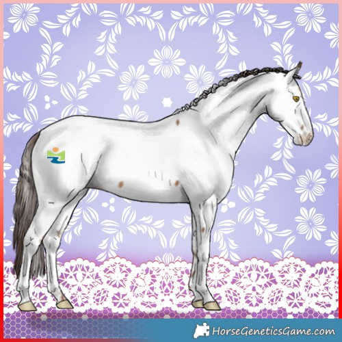 Horse Color:Sable Champagne Sabino Fewspot 