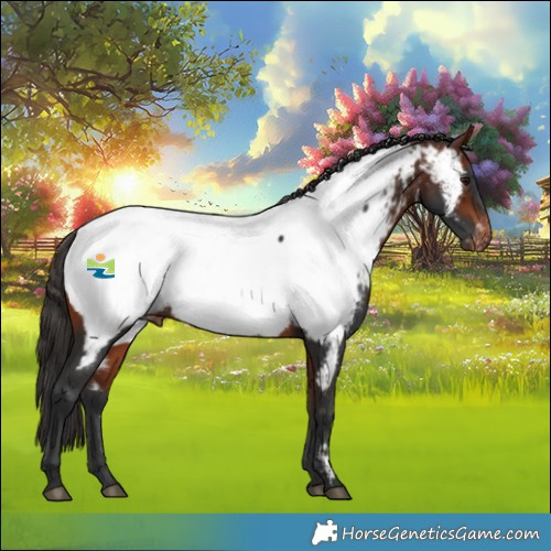 Horse Color:Bay Near Fewspot 