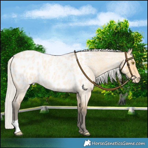 Horse Color:Silver Buckskin Roan Blanket 