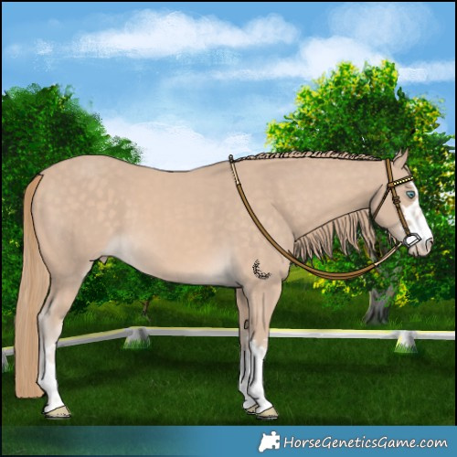 Horse Color:Perlino 