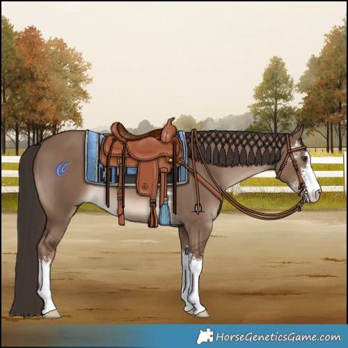 Horse Color:Liver Red Dun Sabino