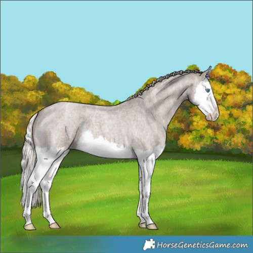 Horse Color:Silver Grullo Ice Roan Splash 
