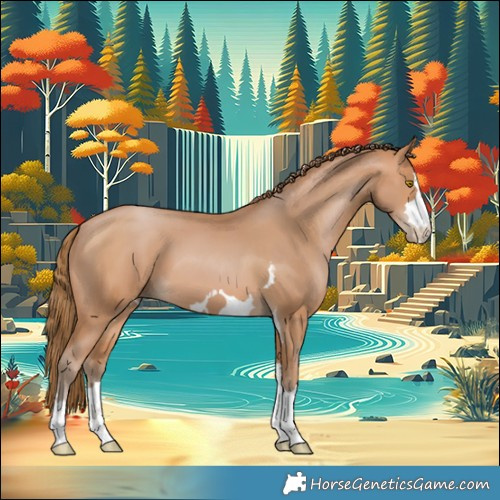 Horse Color:Brown Pearl