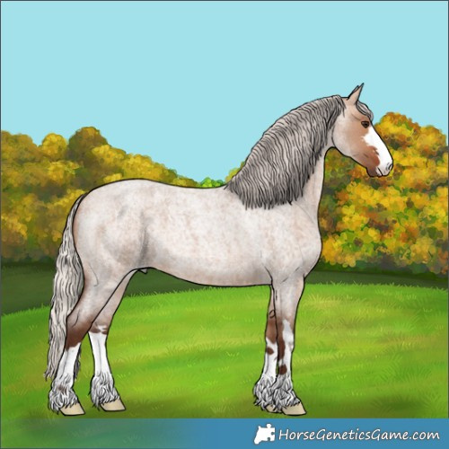 Horse Color:Silver Brown Roan Dun 