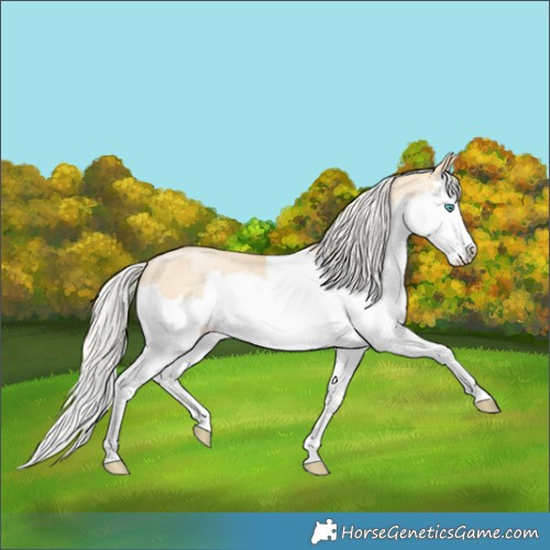 Horse Color:Silver Smoky Grullo Pearl Splash 