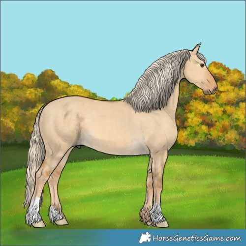 Horse Color:Palomino Dun 