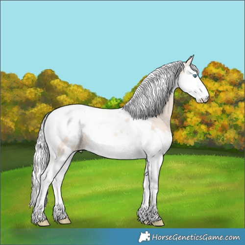 Horse Color:Cremello Splash Tobiano Blanket 