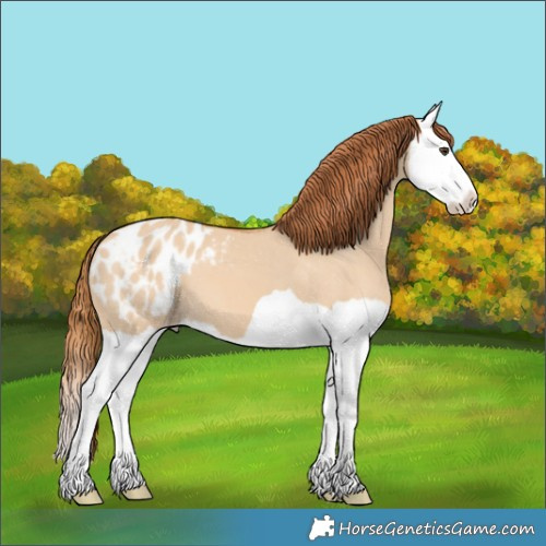 Horse Color:Red Dun Splash Blanket