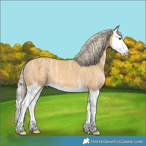 Horse Color:Palomino Ice Dun Splash 