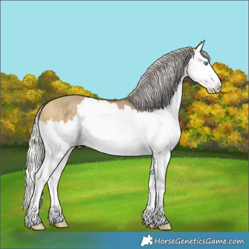Horse Color:Silver Buckskin Dun Splash 