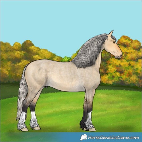 Horse Color:Silver Buckskin Roan Dun