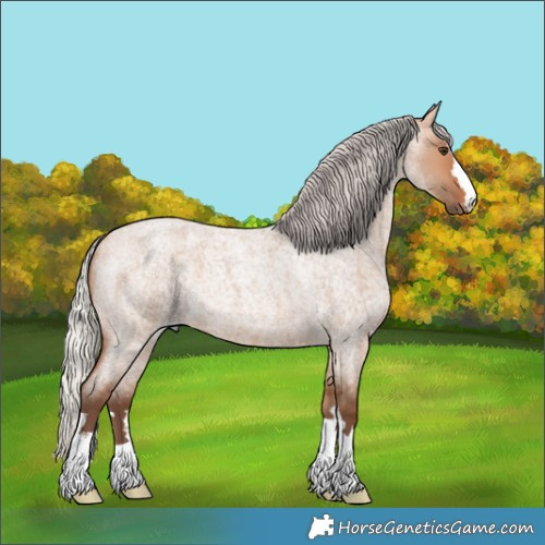 Horse Color:Silver Bay Roan Dun