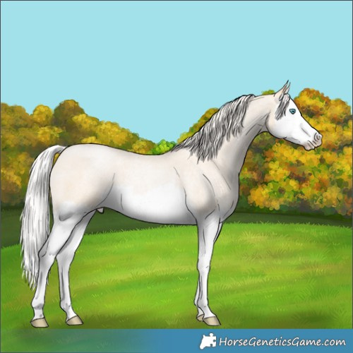 Horse Color:Silver Smoky Grullo Roan Pearl Splash 