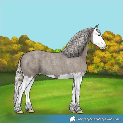 Horse Color:Silver Smoky Blue Roan Splash 