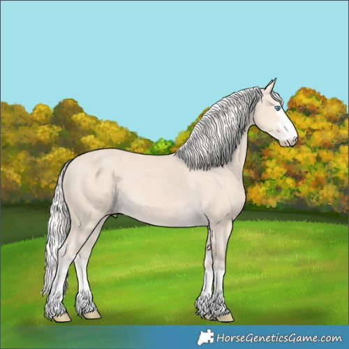 Horse Color:Silver Smoky Creme 