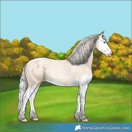 Horse Color:Silver Smoky Blue Roan Pearl Splash 