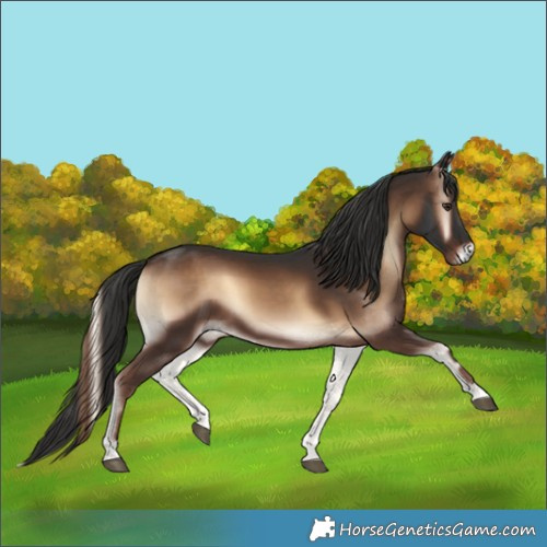 Horse Color:Liver Red Onyx