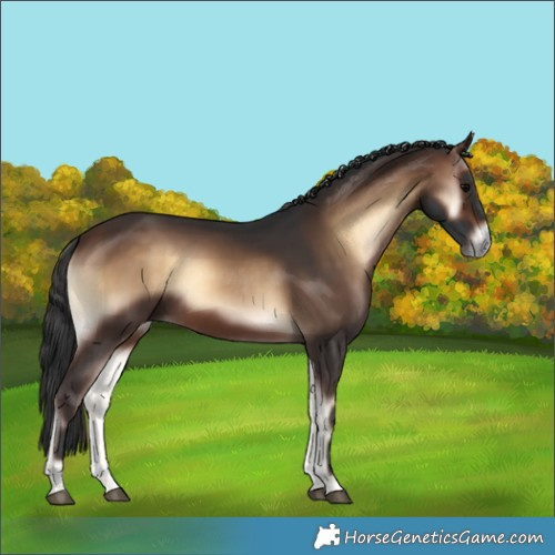 Horse Color:Brown Onyx