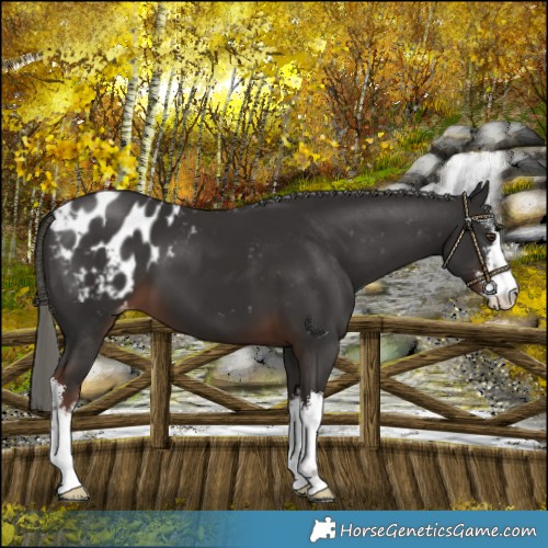 Horse Color:White Spotted Liver Chestnut Mushroom Blanket 