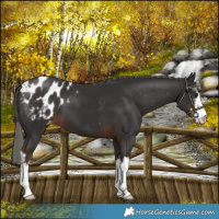 Horse Color:White Spotted Liver Chestnut Mushroom Blanket