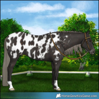 Horse Color:Liver Chestnut Mushroom Blanket