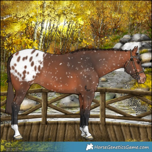 Horse Color:Bay Mushroom Blanket 