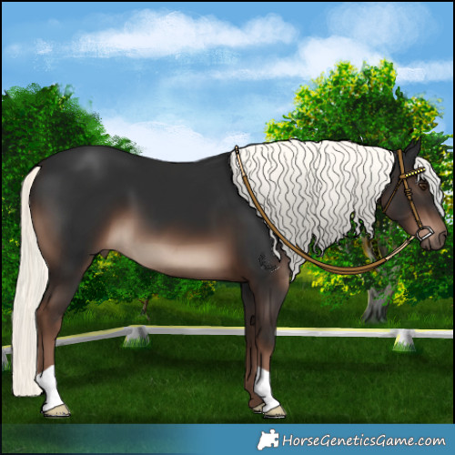 Horse Color:Liver Chestnut Mushroom