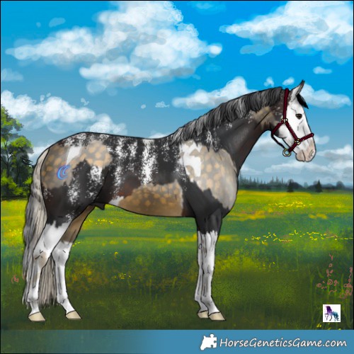 Horse Color:Silver Buckskin Sabino Tobiano  and Powder White Brown Splash 
