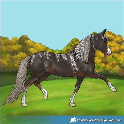 Horse Color:Powder White Liver Chestnut