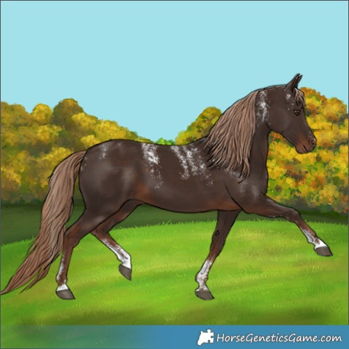 Horse Color:Powder White Liver Chestnut