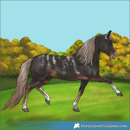 Horse Color:Powder White Liver Chestnut 