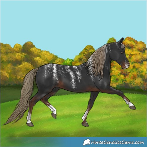 Horse Color:Powder White Liver Chestnut 