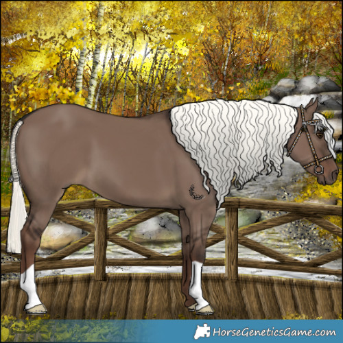 Horse Color:Liver Red Dun Mushroom 