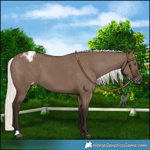 Horse Color:Liver Red Dun Mushroom Varnish 