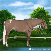 Horse Color:Liver Red Dun Mushroom Varnish 