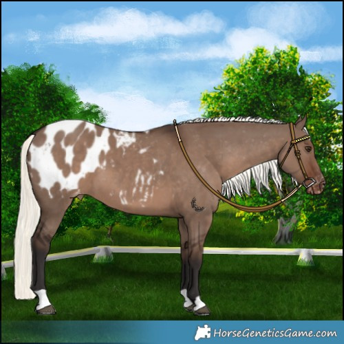 Horse Color:Liver Red Dun Mushroom Blanket