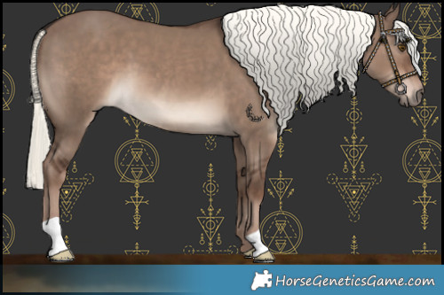 Horse Color:Liver Red Dun Mushroom