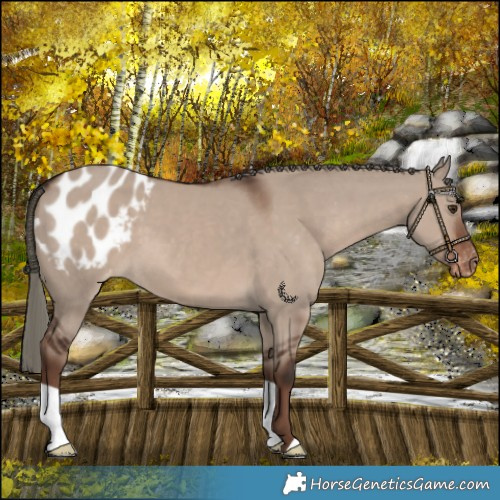 Horse Color:Liver Red Dun Mushroom Blanket 
